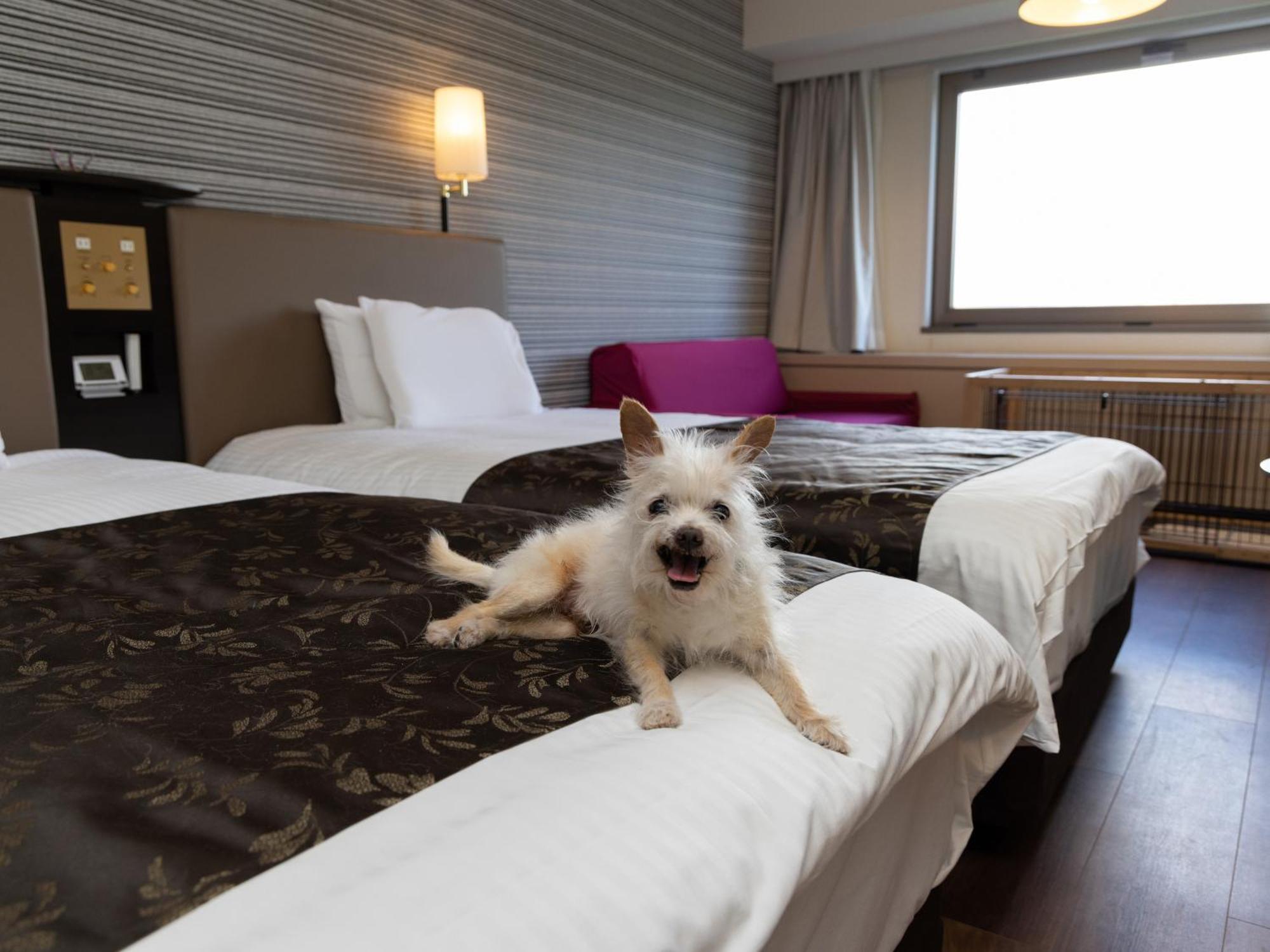 Apa Hotel & Resort Joetsu Myoko Exteriér fotografie